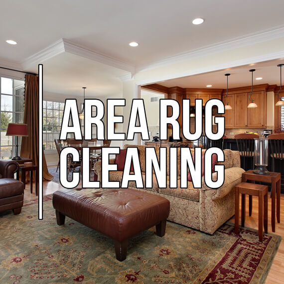 Area rug cleaning