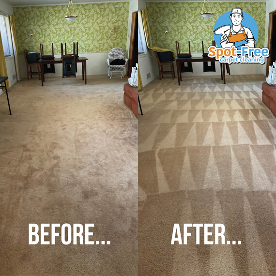Before and after carpet cleaning example for spot free